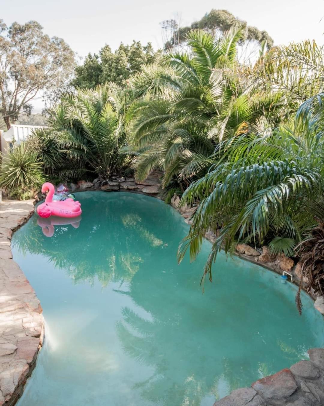 Thyme Wellness Spa And Guesthouse 开普敦 外观 照片